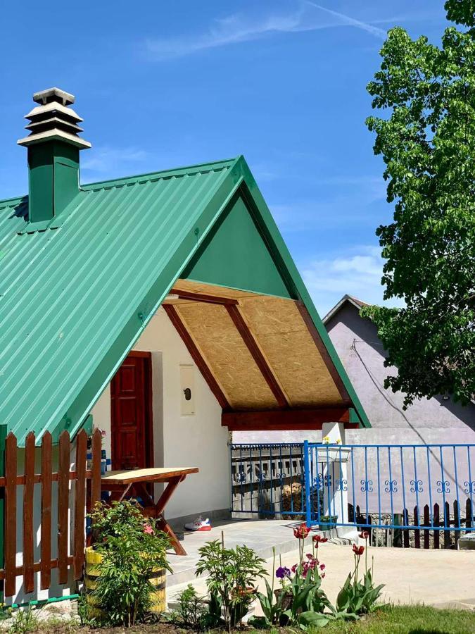 Maglic Villa Plužine Eksteriør billede