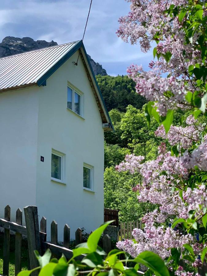 Maglic Villa Plužine Eksteriør billede