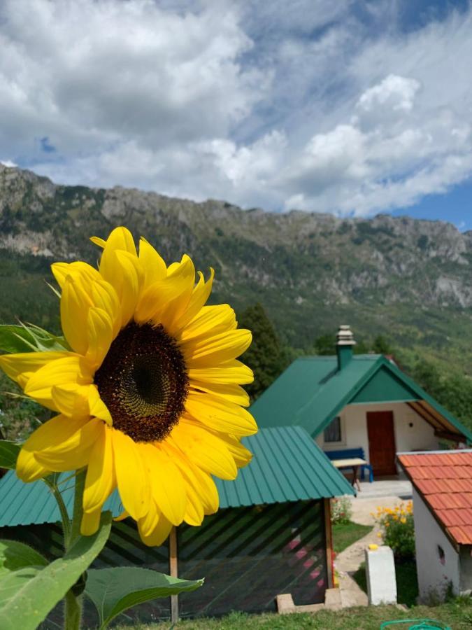 Maglic Villa Plužine Eksteriør billede